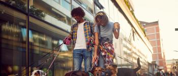 Two people walking dogs