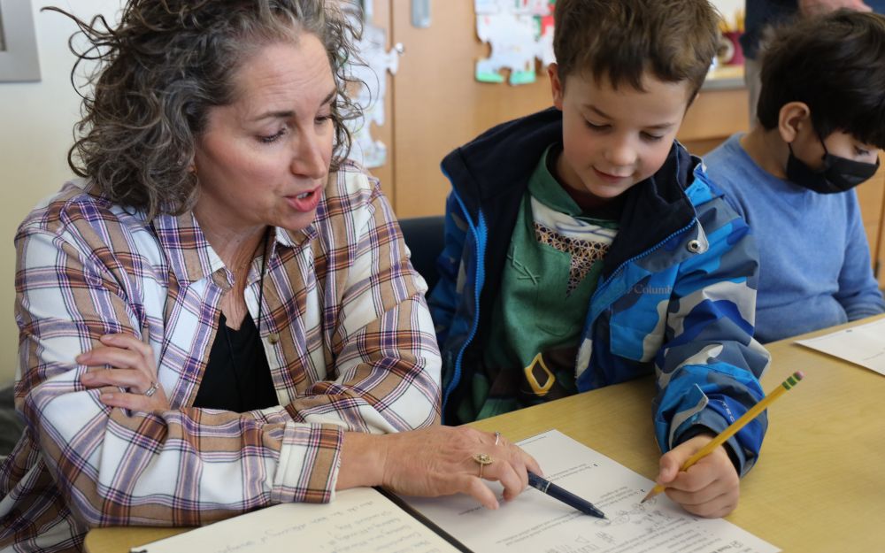 Teacher working with student