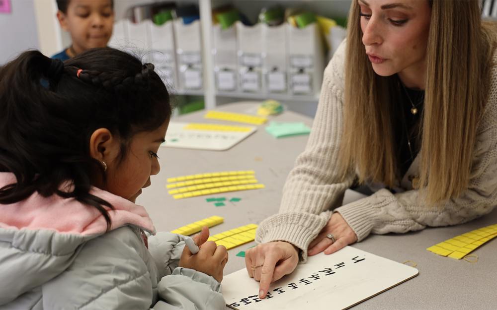 Teacher working with student