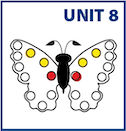 Unit 8